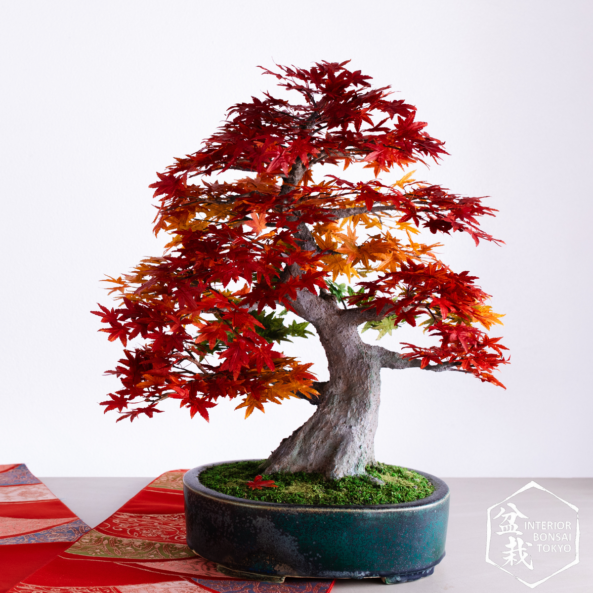 【Artificial Bonsai】Nobunaga