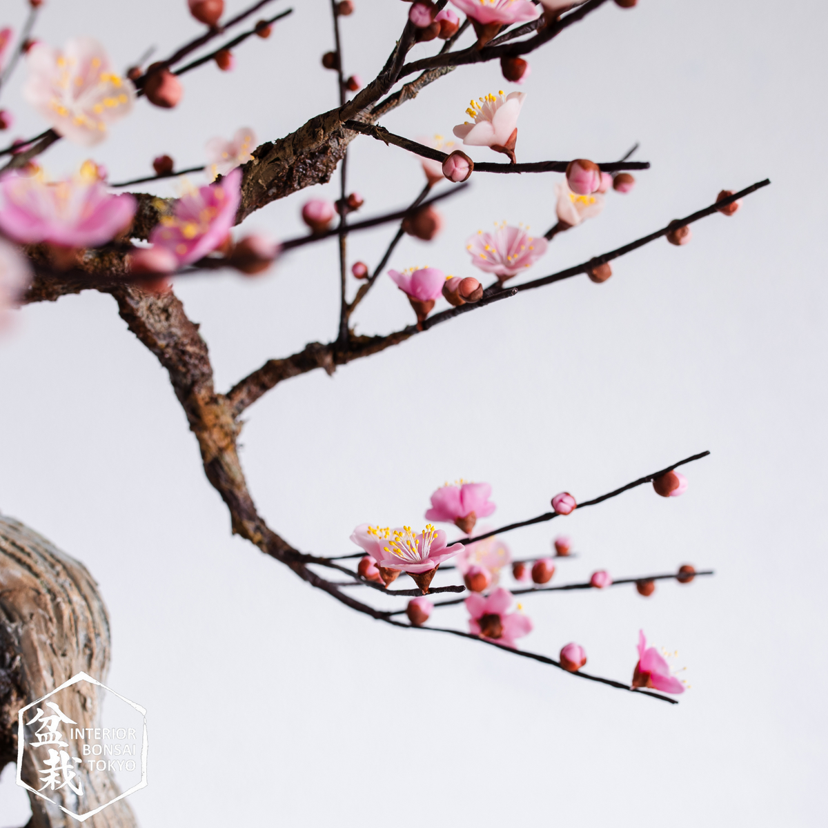 【Artificial Bonsai】Ume