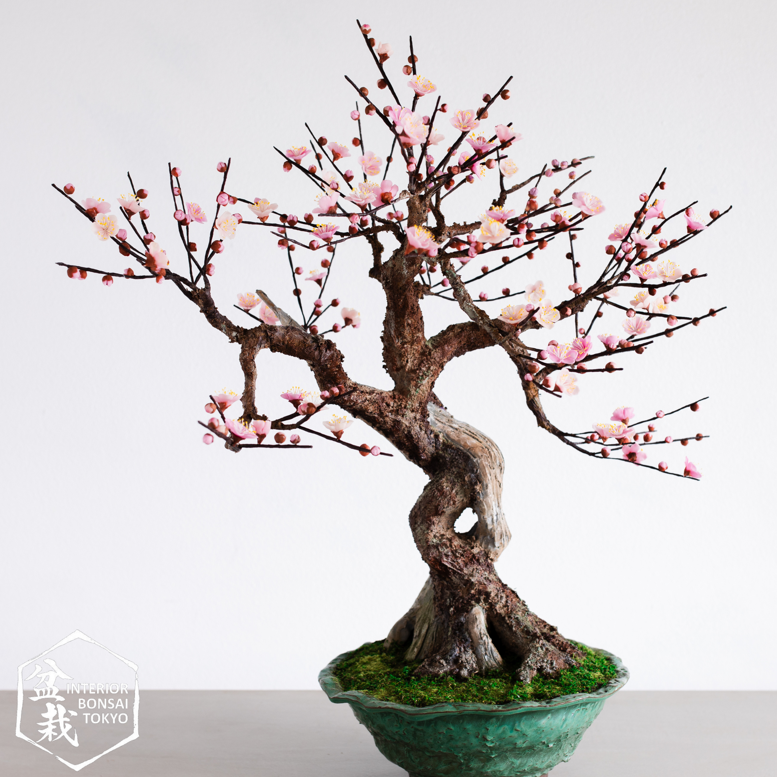 工芸盆栽【一点物】白梅 ハンドメイド インテリア 置物 【公式通販】 工芸盆栽【一点物】白梅 ハンドメイド インテリア 置物 【公式通販】