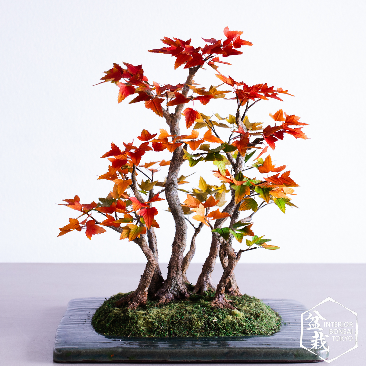 【Artificial Bonsai】Seishonagon