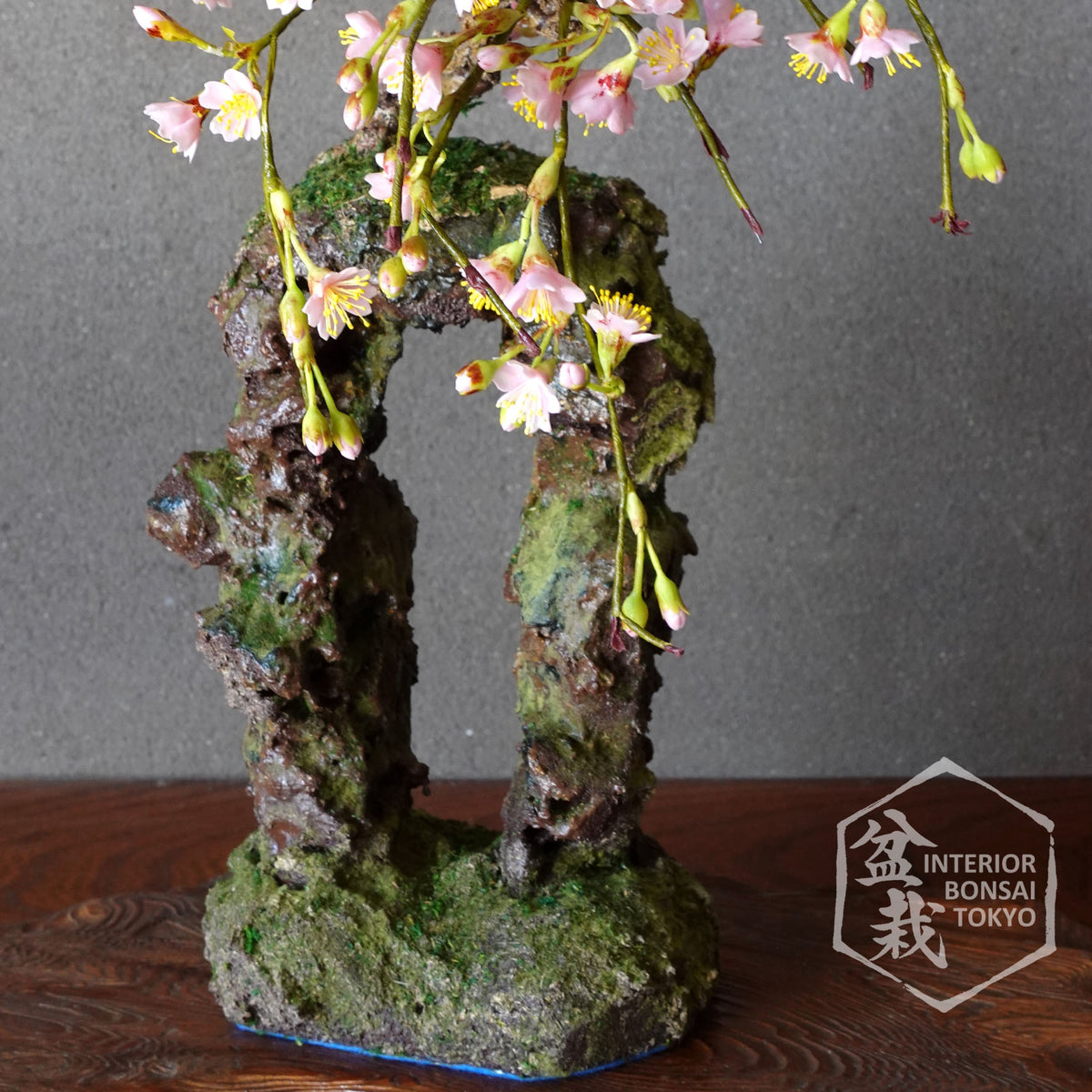 【Artificial Bonsai】Sakura