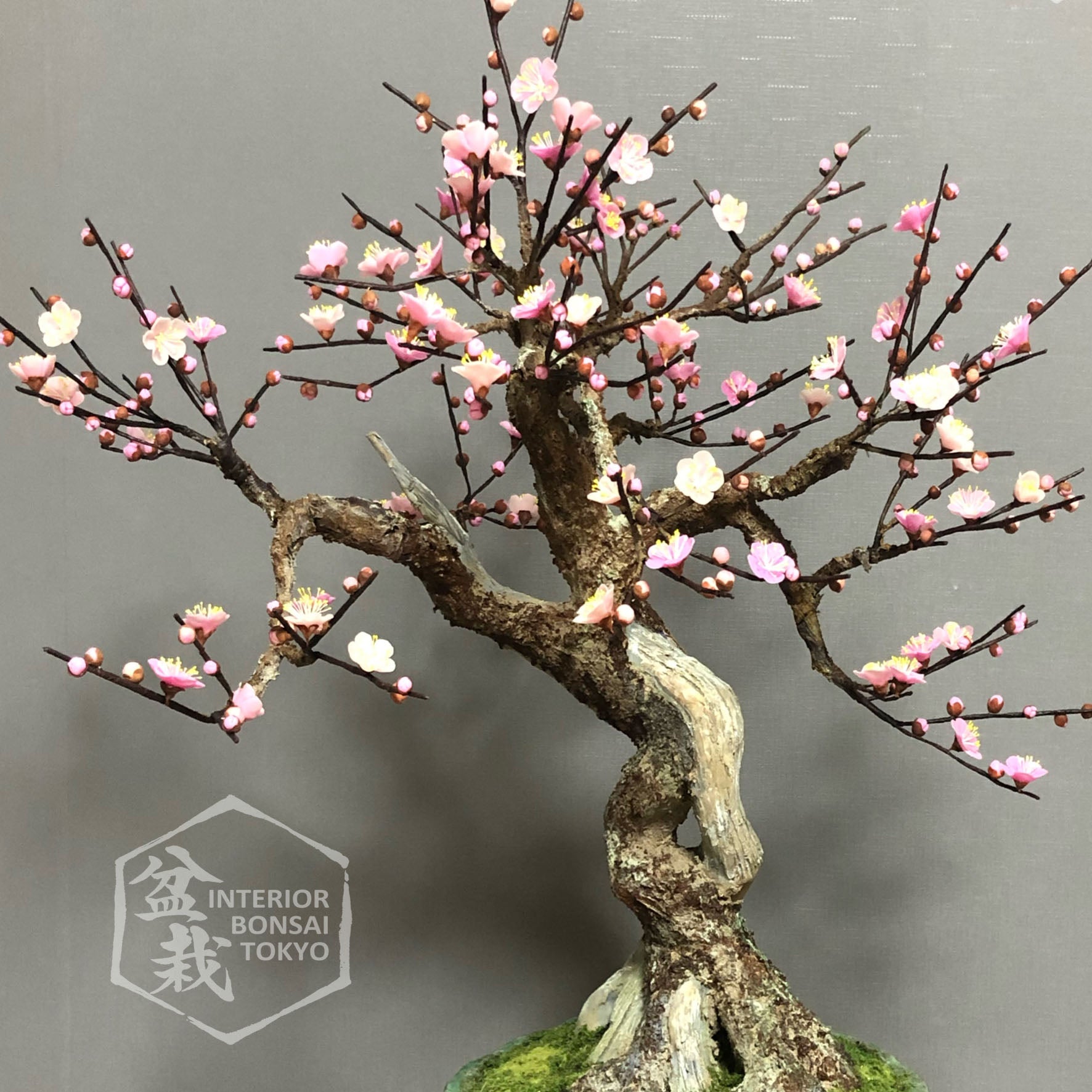 Bonsai Artificiale】 Ume