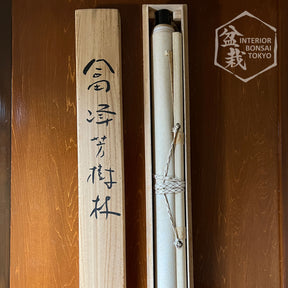 【Kakejiku】Tomimine Hanging scroll